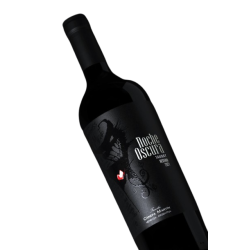 TANNAT - NOCHE OSCURA