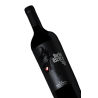 TANNAT - NOCHE OSCURA